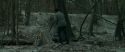 RdM1-Potterish10459.jpg