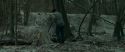 RdM1-Potterish10461.jpg