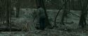 RdM1-Potterish10462.jpg