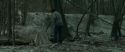 RdM1-Potterish10463.jpg