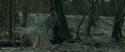 RdM1-Potterish10465.jpg