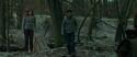 RdM1-Potterish10471.jpg