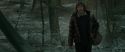 RdM1-Potterish10474.jpg