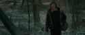 RdM1-Potterish10477.jpg