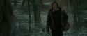 RdM1-Potterish10479.jpg