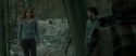RdM1-Potterish10480.jpg
