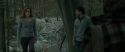 RdM1-Potterish10481.jpg