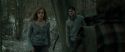 RdM1-Potterish10483.jpg