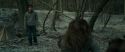 RdM1-Potterish10489.jpg