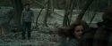 RdM1-Potterish10492.jpg