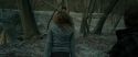 RdM1-Potterish10509.jpg