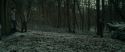 RdM1-Potterish10515.jpg