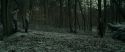 RdM1-Potterish10519.jpg