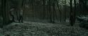 RdM1-Potterish10523.jpg