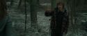 RdM1-Potterish10531.jpg