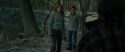 RdM1-Potterish10547.jpg