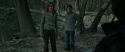 RdM1-Potterish10558.jpg