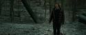 RdM1-Potterish10562.jpg