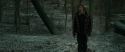 RdM1-Potterish10563.jpg