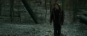 RdM1-Potterish10564.jpg