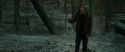 RdM1-Potterish10565.jpg