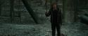 RdM1-Potterish10566.jpg