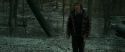 RdM1-Potterish10577.jpg