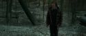 RdM1-Potterish10579.jpg