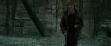 RdM1-Potterish10600.jpg