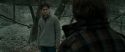 RdM1-Potterish10607.jpg