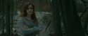 RdM1-Potterish10625.jpg