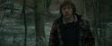 RdM1-Potterish10631.jpg