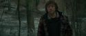 RdM1-Potterish10632.jpg