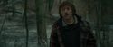 RdM1-Potterish10639.jpg