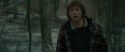 RdM1-Potterish10641.jpg