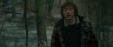 RdM1-Potterish10642.jpg
