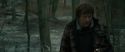 RdM1-Potterish10644.jpg