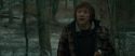 RdM1-Potterish10648.jpg