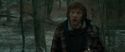 RdM1-Potterish10650.jpg