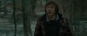 RdM1-Potterish10653.jpg