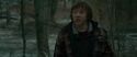 RdM1-Potterish10654.jpg