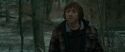 RdM1-Potterish10655.jpg