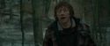 RdM1-Potterish10667.jpg