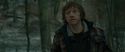 RdM1-Potterish10672.jpg