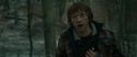 RdM1-Potterish10674.jpg