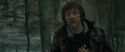 RdM1-Potterish10675.jpg