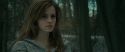 RdM1-Potterish10684.jpg