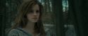 RdM1-Potterish10685.jpg