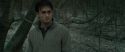 RdM1-Potterish10690.jpg