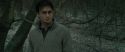 RdM1-Potterish10691.jpg